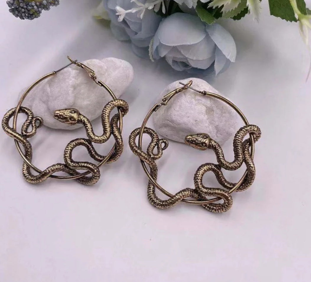 Snake Hoops